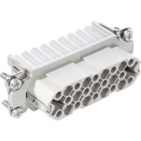 LAPP 11261000 Businzetstuk EPIC® H-D 25 Totaal aantal polen 25 + PE 5 stuk(s) - thumbnail