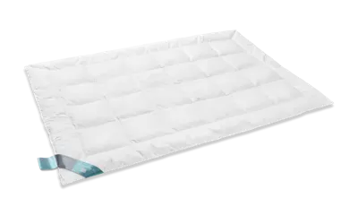 Vandyck Thermo Dekbed Solo