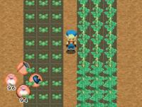 Harvest Moon - Mein Inselparadies: Nintendo - thumbnail