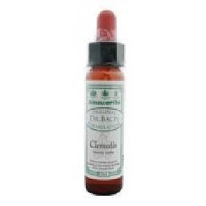 Ainsworths Clematis Bach 10 Milliliter Ainsworths Clematis Bach 10 Milliliter