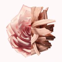 Givenchy Irresistible Nude Velvet Eau de Parfum 50ml - thumbnail