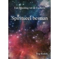 Spiritueel bestaan (Paperback) - thumbnail