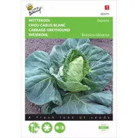 Witte kool Express - thumbnail