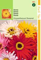 Zaden Zinnia Chrysanthbloemig gemengd Hortitops - Hortitops - thumbnail