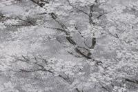 Livingwalls New Walls grijs behang | 374201 - thumbnail