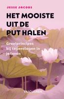 Het mooiste uit de put halen - Jesse Jacobs - ebook - thumbnail