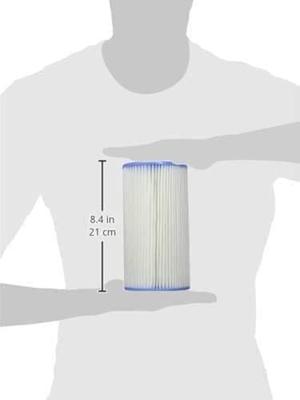 Simba Intex filter cartridge a