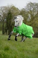 Deken Bucas Freedom Turnout Light Pony 0gr, 135 cm in green - thumbnail