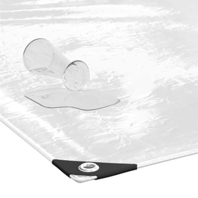 Doorzichtig zeildoek met zeilringen 8x8 m PVC Doorzichtig zeildoek met zeilringen 8x8 m PVC