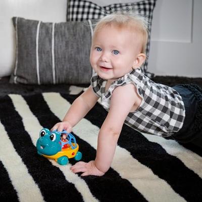 Baby Einstein Sensorisch speelgoed (Schildpad)