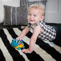 Baby Einstein Sensorisch speelgoed (Schildpad) - thumbnail