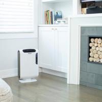 Fellowes AeraMax DX55 Wit - thumbnail