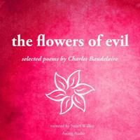 The Flowers of Evil - thumbnail
