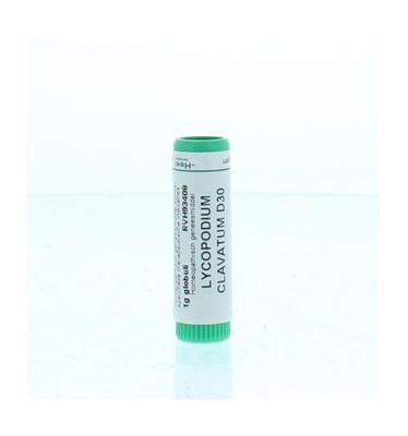 Lycopodium clavatum D30 Lycopodium clavatum D30