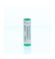 Lycopodium clavatum D30 - thumbnail