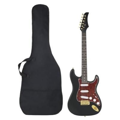 VidaXL Gitaar voor beginners elektrisch met tas 4/4 39" zwart en goud
