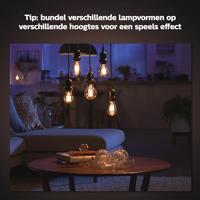 Philips Hue White 1-pack ST64 E27 Edison met zichtbare gloeidraad - thumbnail