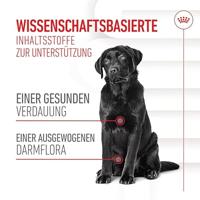 ROYAL CANIN DIGESTION CHEWS ADULT SUPPLEMENTS | 160 g | Aanvullend diervoeder voor volwassen honden | Ter ondersteuning van een normale spijsvertering en darmflora - thumbnail