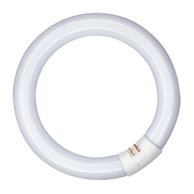Fluorescerende buis Patron 20 W G10Q (6400 K)