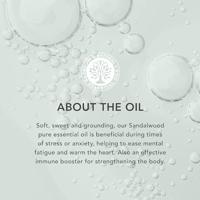 Tisserand Sandalwood wild crafted 2 Milliliter - thumbnail