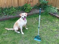 MDC Arms Length Pooper Scooper, ideaal voor gebruik op gras of paden voor alle inzameling van dierlijk afval - thumbnail