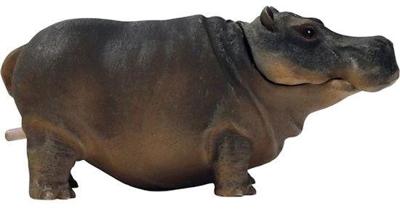 Hippo deco air s SuperFish - Superfish Hippo deco air s SuperFish - Superfish