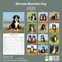 Bernese Mountain Dog Calendar 2026 Square Dog Breed Wall Calendar - 16 Month - thumbnail