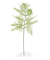 Asparagus kunsttak 55 cm - thumbnail