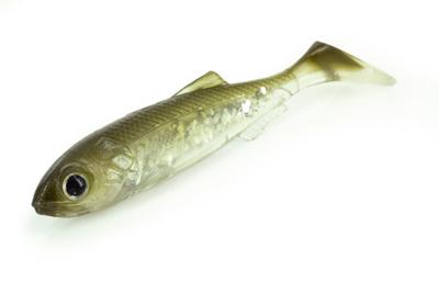 Molix Real Thing Shad 7,25cm 6st. Perch