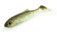 Molix Real Thing Shad 7,25cm 6st. Perch - thumbnail