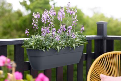 Plantenbak vibia campana easy hanger XL d58 h27 cm antraciet bloempot elho - Elho