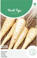 Zaden Pastinaak Guernsey (Pinksternakel) Hortitops - Hortitops - thumbnail