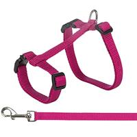 TRIXIE KATTENTUIG MET RIEM ASSORTI 34-57X1,3 CM 120 CM 4 ST - thumbnail