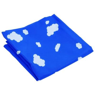 VidaXL Schommelzitjes 2 st met klimstenen polyetheen blauw