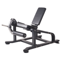 Toorx Professional AKTIV - Leg Extension Machine - FWX-4800 - thumbnail