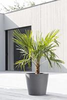 Ecopots Amsterdam Grijs Ø40 x H35 cm - thumbnail