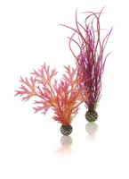 Aquariumtoebehoren plantenset medium rood & roze biOrb - Biorb - thumbnail