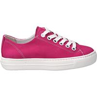 Paul Green 4704 - alle - thumbnail