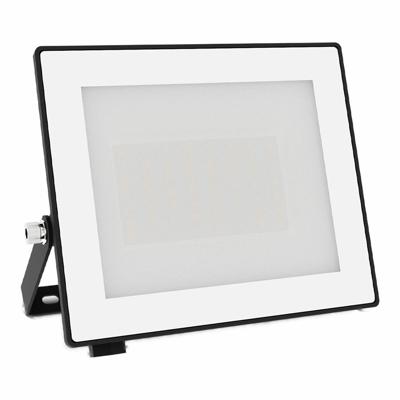 Philips LED Lois 929004641901 LED-buitenschijnwerper 30 W Lichtkleur (naam): Koudwit