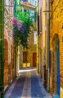 Alexsar Art Tuindoek gele steeg 210x140cm - thumbnail