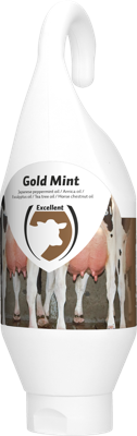 Excellent Gold Mint Sta-/Hangtube 500 ml