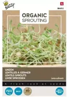 Organic Sprouting Linzen (Bio) zaden Buzzy - Buzzy - thumbnail