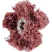 PFERD 44698254 slijp-& schuurbenodigdheid voor rotatiegereedschap - thumbnail