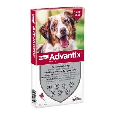 BAYER ADVANTIX SPOT ON 250/1250 10-25 KG - 4 PIP BAYER ADVANTIX SPOT ON 250/1250 10-25 KG - 4 PIP
