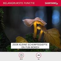 Samyang 135mm F/2.0 Canon - thumbnail