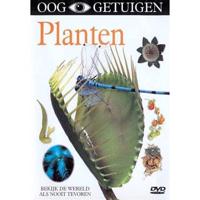 Ooggetuigen - Planten (DVD) - thumbnail