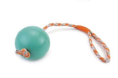Rubberen bal aan koord hondenspeeltje mint 30 cm Rubberen bal aan koord hondenspeeltje mint 30 cm