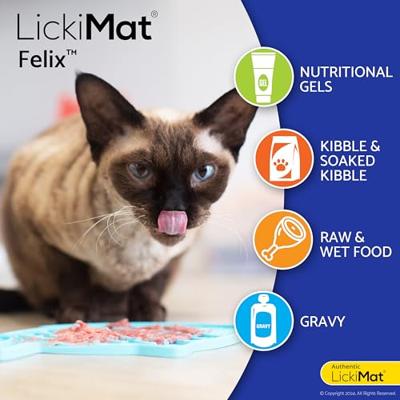 LICKIMAT KAT FELIX TURQUOISE