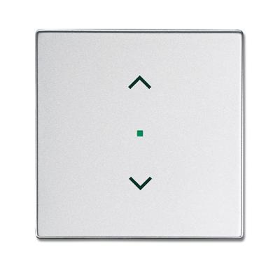 Busch-Jaeger 2CKA006220A0039 Afdekking 1-voudig free@home Witaluminium (RAL 9006), Aluminium 1 stuk(s)