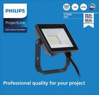 Bouwlamp Philips Proyector 2100 W Zwart 950 Lm - thumbnail